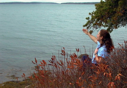 Marjorie looking out at Frenchman's Bay